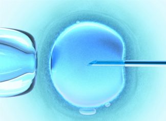 Researchers unravel structure of MCM8/9 enzyme linked to infertility and cancer