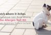 Scratch where it itches – An International-Gold-Medal-Winning Canine Allergen Test Kit by Chula Veterinary Science Lecturer