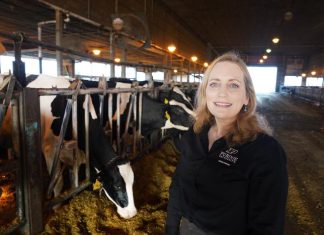 $1 million USDA grant to Purdue aims to boost efficiency at dairy farms