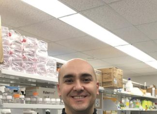 Blocking proteins could pull the plug on power for colon tumors