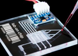 Capture and release of tumor cells using a bioelectronic device