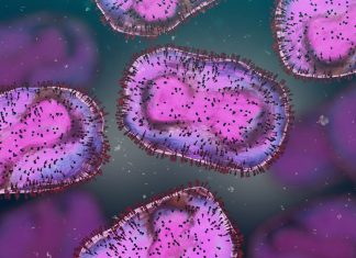 Game-changing point-of-care assay could revolutionize Mpox detection worldwide