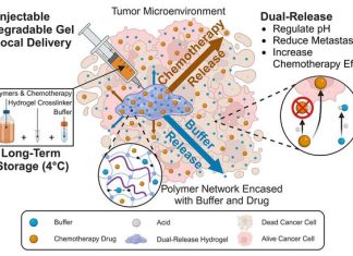 Hydrogel Delivery Balances Tumor’s pH, Boosts Cancer Drug’s Activity