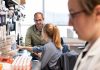 Lego-like gene editing tool lets researchers improve cancer immunotherapy
