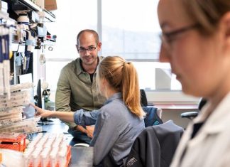 Lego-like gene editing tool lets researchers improve cancer immunotherapy
