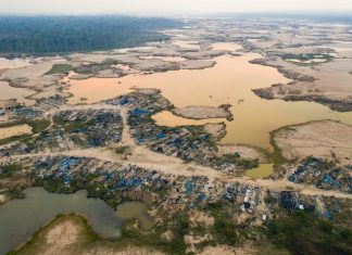 Peru’s Operation Mercury stopped most illegal gold mining in one biodiversity hotspot in the Amazon. Then the COVID-19 pandemic hit.