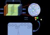 Synergistic work of cations in anion exchange membranes for OH- transport in fuel cells