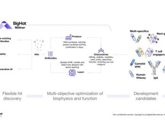 AI-Created Monoclonal Antibodies Drive Innovation at BigHat Biosciences