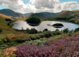 Cambridge University receives $72 million gift for habitat restoration projects across Europe’s land and seas