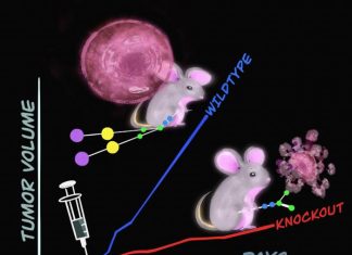 Cancer’s sweet Achilles heel