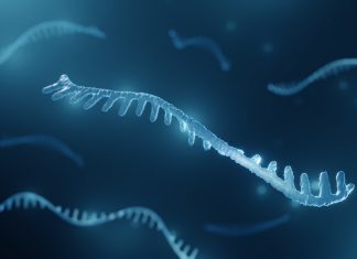 Identification of Alzheimer’s disease-associated micro-RNA biomarkers through network-based analysis