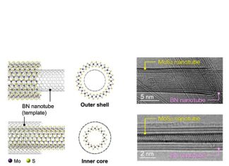 Move over carbon, the nanotube family just got bigger
