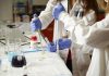 Scientists discover the possible triggers for bacterial pathogens, opening the door for new treatment strategies.