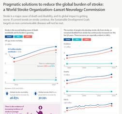THE LANCET NEUROLOGY: Stroke could cause nearly 10 million deaths annually by 2050, mostly in LMICs, and cost up to US$2 trillion per year, new report warns
