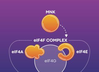 Locks on Translation Initiation May Restrain Cancer