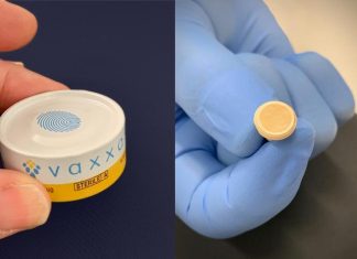A patch of protection against Zika virus