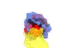 Controlling KRAS: Allosteric Sites Mapped on Key Cancer Protein