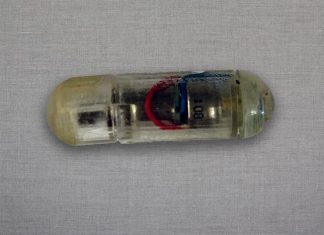 Engineers develop a vibrating, ingestible capsule that might help treat obesity