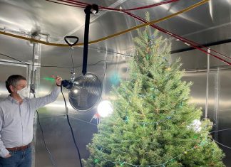 Live Christmas trees affect indoor air chemistry, NIST researchers find