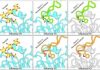 Multiple Flu Strains Neutralized by New Class of Antibodies