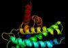 Oxidized amino acids signal damaged photosynthesis proteins for repair
