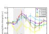 Tracing how the infant brain responds to touch with near-infrared spectroscopy