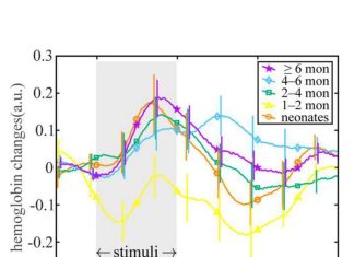 Tracing how the infant brain responds to touch with near-infrared spectroscopy