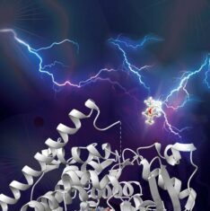 Arnold Lab Uses Directed Evolution to Create Siloxane-Busting Enzyme