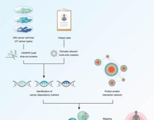 Cancer Drug Discovery May Accelerate as Many Overlooked Targets Prioritized