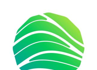 EBRAINS research infrastructure secures €38 million in funding for new phase of digital neuroscience
