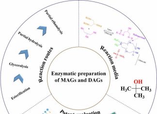 Greener and feasible production: Enzymatic methods for mono- and diacylglycerol synthesis in the food industry