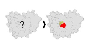 Illuminating Druggable Sites on Proteins