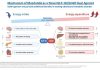 Innovent Dosed First Participant in Phase 3 Clinical Study (GLORY-2) of Mazdutide (IBI362) Higher Dose 9 mg in Chinese Adults with Obesity
