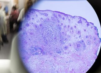MSK research highlights, December 29, 2023
