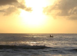 Ocean temperatures helped make 2023 the hottest year ever recorded