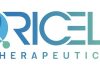 Oricell Announces FDA Clearance of IND Application for OriCAR-017, a novel GPRC5D Targeted CAR-T Cell Therapy Utilizing the Company’s Proprietary Platform, for the Treatment of Relapsed/Refractory Multiple Myeloma.