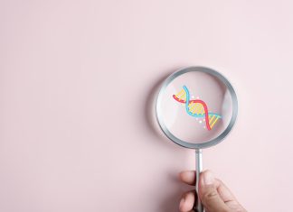 Revolutionary RNA-based switch offers new control over gene expression in mammalian cells