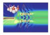 Ultrafast excitations in correlated systems