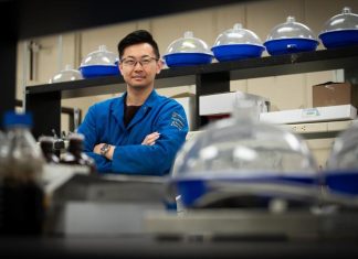 Inexpensive, carbon-neutral biofuels are finally possible