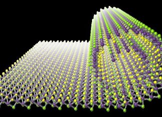 Scientists find new way to roll atomically thin nanosheets into scrolls