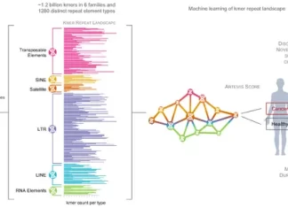 AI Detects Cancer via DNA Repeats in Liquid Biopsies