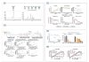 Mabwell Presented IDDC™ Platform Technology and ADC Drug Development Achievements at the 14th World ADC London