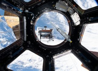 New ISS investigation expands genes in space toolkit for student spaceflight experiments