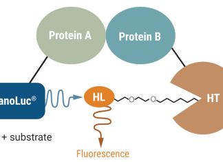 Protein-Protein Interactions Dance into the Spotlight