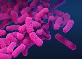 What makes a pathogen antibiotic-resistant?