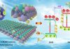 Chemically bonded Mn₀․₅Cd₀․₅S/BiOBr S-scheme photocatalyst with rich oxygen vacancies for improved photocatalytic decontamination performance