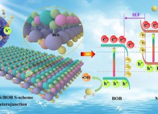 Chemically bonded Mn₀․₅Cd₀․₅S/BiOBr S-scheme photocatalyst with rich oxygen vacancies for improved photocatalytic decontamination performance
