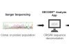 CRISPR Concerns Won’t Spoil Its Promise—If We Use the Right Tools