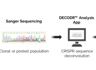 CRISPR Concerns Won’t Spoil Its Promise—If We Use the Right Tools