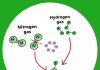 Energy-friendly ammonia production for fertilizers and alternative fuel